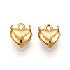 304 Stainless Steel Charms STAS-N109-141G-1