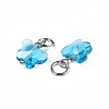 Faceted Transparent Glass Charms GLAA-T024-06E-3