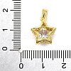 Brass Micro Pave Cubic Zirconia Charms KK-R227-04G-3