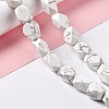 Natural Howlite Beads Strands G-L235A-14-2