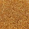 Transparent Colours Glass Round Seed Beads SEED-B001-06A-05-3