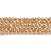 Transparent Electroplate Glass Beads Strands GLAA-H021-01A-PL01-2