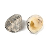 Natural Shell Pendants LS-SHEL-K009-17A-2