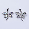 Abalone Shell/Paua Shell Pendants X-SSHEL-L008-07P-3