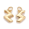 Rack Plating Eco-friendly Brass Micro Pave Clear Cubic Zirconia Charms KK-D072-01G-Z-NR-2
