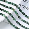 Natural Emerald Quartz Beads Strands G-S362-012-4