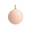 Ion Plating(IP) 304 Stainless Steel Pendants STAS-I311-33H-RG-1