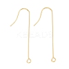 316 Surgical Stainless Steel Earring Hooks STAS-E027-02A-G-1