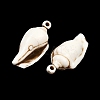 Spray Painted Opaque Acrylic Pendants ACRP-F003-03I-2