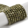 Natural Alashan Agate Beads Strands G-P530-B05-01-2