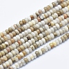 Natural Silver Leaf Jasper Beads Strands G-E444-36B-1