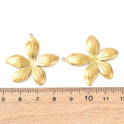 304 Stainless Steel Pendants LS-STAS-A133-02C-G-1