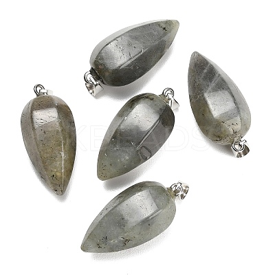 Natural Labradorite Pendants GG-K002-16M-1