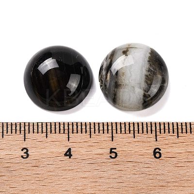 Natural Banded Agate(Dyed & Heated) Cabochons G-B085-02B-12-1