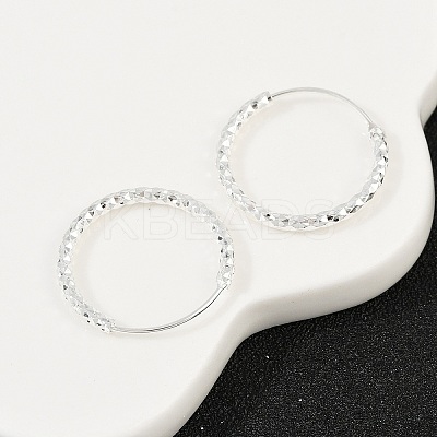Brass Textured Hoop Earrings EJEW-F378-03C-S-1