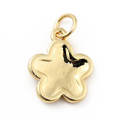 Rack Plating Brass Enamel Charms KK-G387-09G-01-1