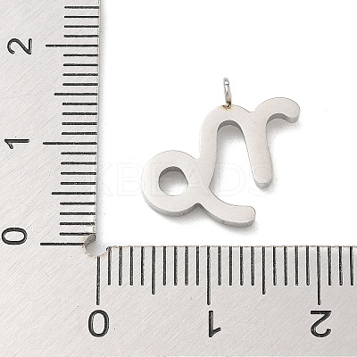 304 Stainless Steel Micro Pave Cubic Zirconia Charms STAS-Z107-09P-12-1