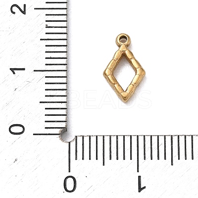 304 Stainless Steel Charms SA-B007-02G-B-1