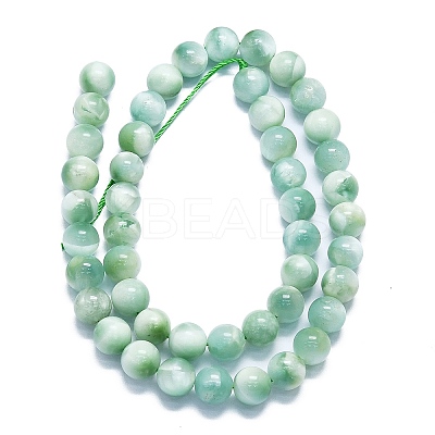 Natural Glass Beads Strands G-K245-A13-04-1