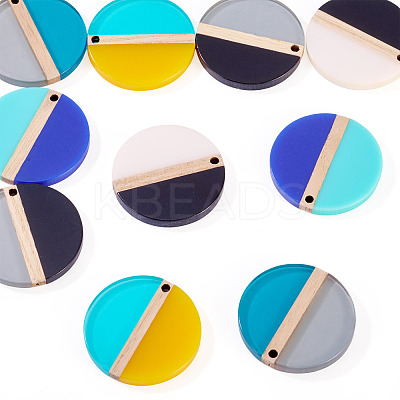 10Pcs 5 Colors Transparent & Opaque Resin & Wood Pendants RESI-TA0004-67-1