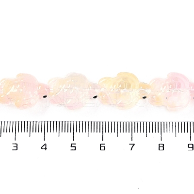 Transparent Glass Enamel Beads Strands GLAA-B021-06K-1