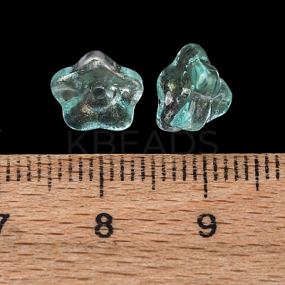 Transparent Glass Beads GLAA-T025-81B-02-1