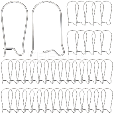 120Pcs 316 Surgical Stainless Steel Hook Earring Findings STAS-BBC0003-97-1
