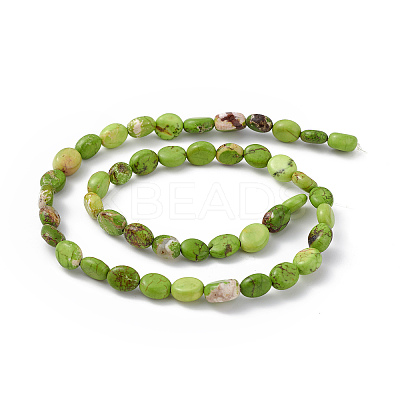 Natural Turpuoise Beads Strands G-P494-A02-1