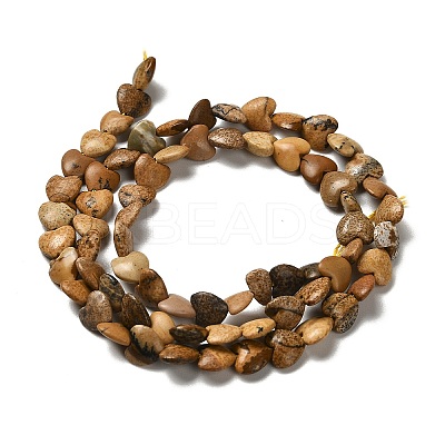 Natural Picture Jasper Beads Strands G-P575-C08-6mm-1