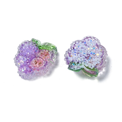 Fruit Transparent Epoxy Resin Decoden Cabochons CRES-I030-23E-1