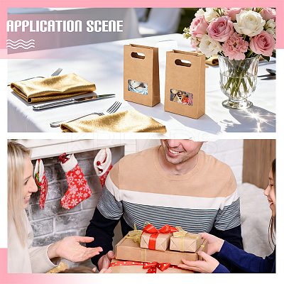 Kraft Paper Gift Bags with Visible Window and Die Cut Hole Handles ABAG-WH0032-124-1