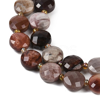 Natural Petrified Wood Beads Strands G-B094-A10-01-1