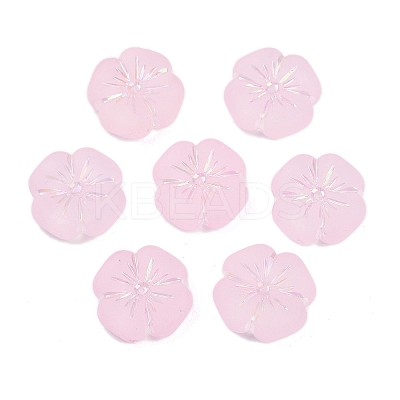 Frosted Transparent Acrylic Beads X1-OACR-P029-19B-05-1