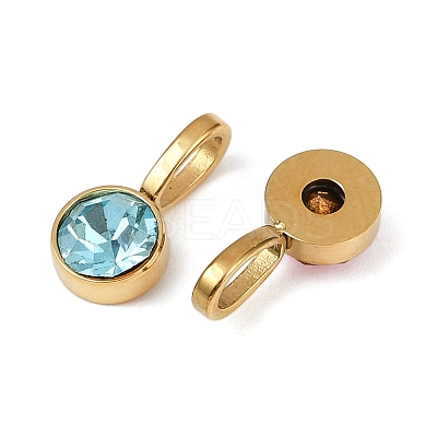 304 Stainless Steel Birthstone Charms STAS-Z143-03G-1