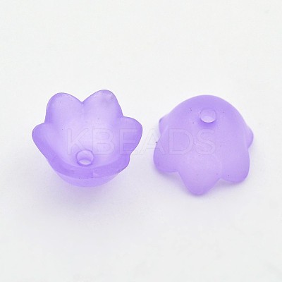 Transparent Acrylic Beads LS-X-FACR-R017-01-1