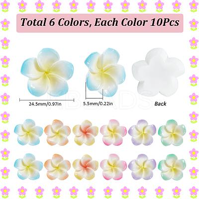 60Pcs 6 Colors Opaque Resin Decoden Cabochons RESI-SC0005-83D-1