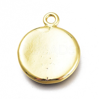 Brass Enamel Pendants KK-H103-02M-G-1
