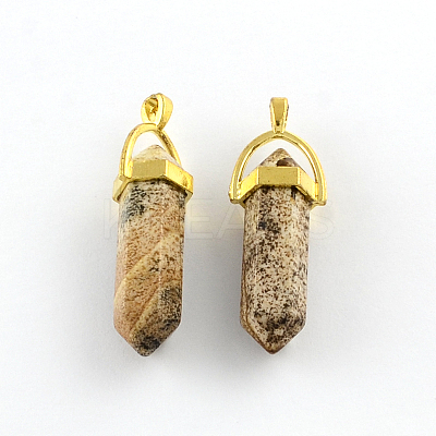 Picture Jasper Stone Pendants with Alloy Findings G-R278-24G-1