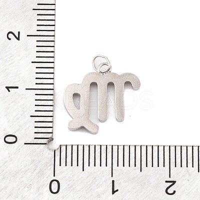 316 Stainless Steel Micro Pave Cubic Zirconia Pendants LS-STAS-K284-01B-P-1
