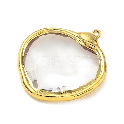 Brass Glass Pendants GL-CBA4231-01J-G-1