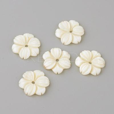 Natural Freshwater Shell Beads SHEL-Q008-53-1
