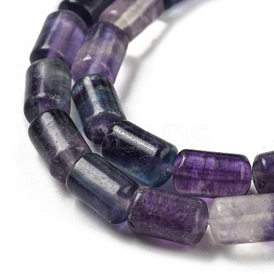 Natural Fluorite Beads Strands G-M420-E08-03-1