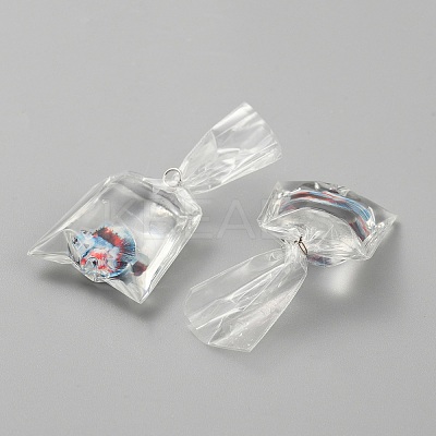 Transparent Resin Big Pendants LS-RESI-TAC0024-01A-1