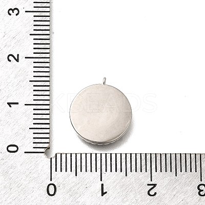 Brass Micro Pave Cubic Zirconia and Acrylic Charms LS-KK-Q035-02P-1
