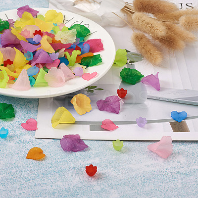 300Pcs 20 Style Transparent Acrylic Pendants & Bead Caps TACR-FW0001-02-1