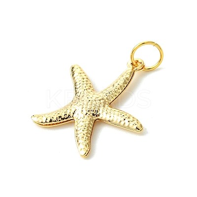 Brass Pendants PALLOY-JF01771-1