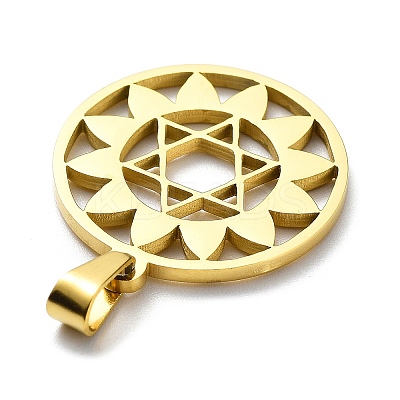 304 Stainless Steel Pendants LS-STAS-D036-10G-1
