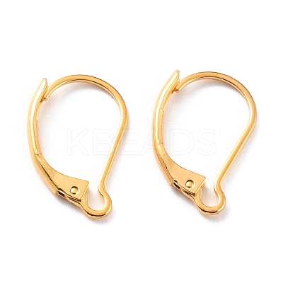 304 Stainless Steel Leverback Earring Findings X-STAS-K233-04G-1