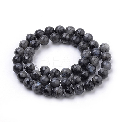 Natural Larvikite Beads Strands X-G-S259-06-10mm-1
