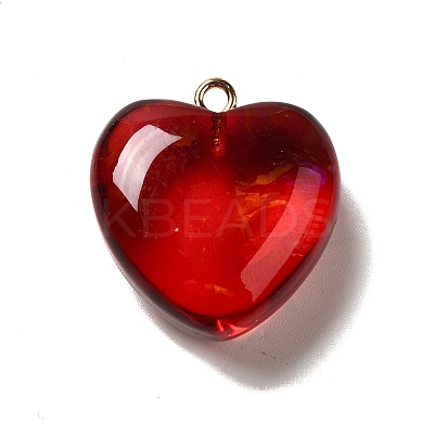 Transparent Resin Pendants RESI-F035-02D-1